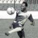 Player Gallery 6